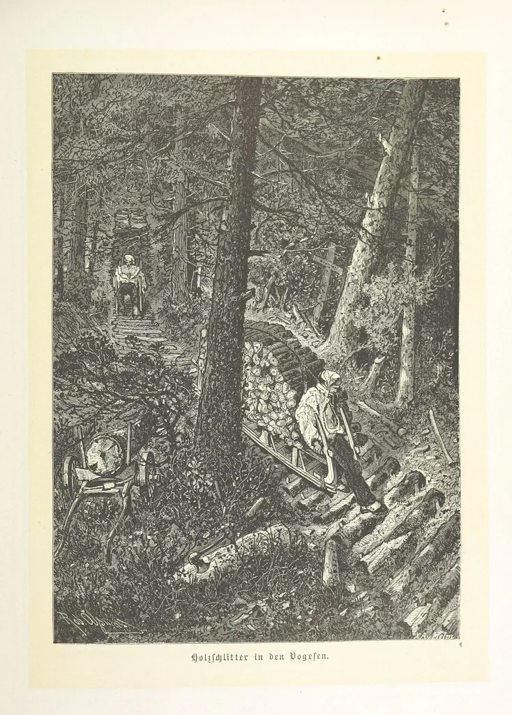 An illustration from Bilder aus Elsass Lothringen. Original-Zeichnungen von R. Assmus ... Schilderungen von K. S, 1876, leaf 205