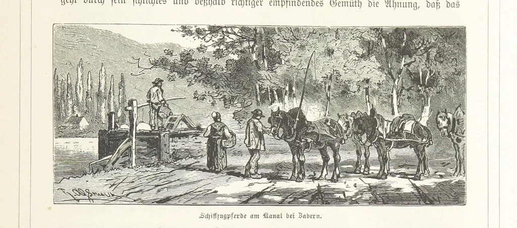 An illustration from Bilder aus Elsass Lothringen. Original-Zeichnungen von R. Assmus ... Schilderungen von K. S, 1876, leaf 215