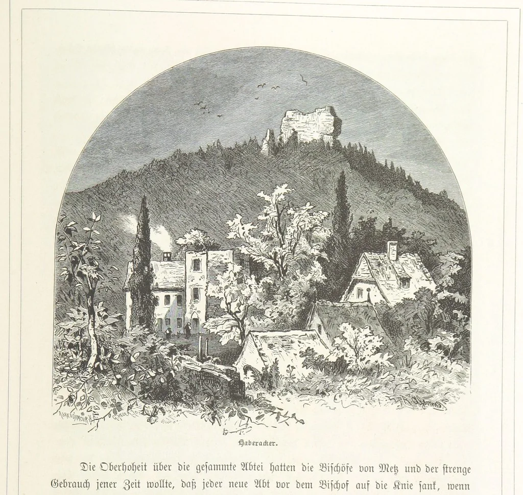 An illustration from Bilder aus Elsass Lothringen. Original-Zeichnungen von R. Assmus ... Schilderungen von K. S, 1876, leaf 217