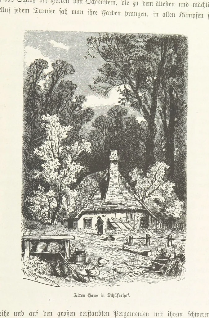 An illustration from Bilder aus Elsass Lothringen. Original-Zeichnungen von R. Assmus ... Schilderungen von K. S, 1876, leaf 221