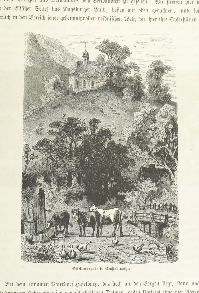 An illustration from Bilder aus Elsass Lothringen. Original-Zeichnungen von R. Assmus ... Schilderungen von K. S, 1876, leaf 223