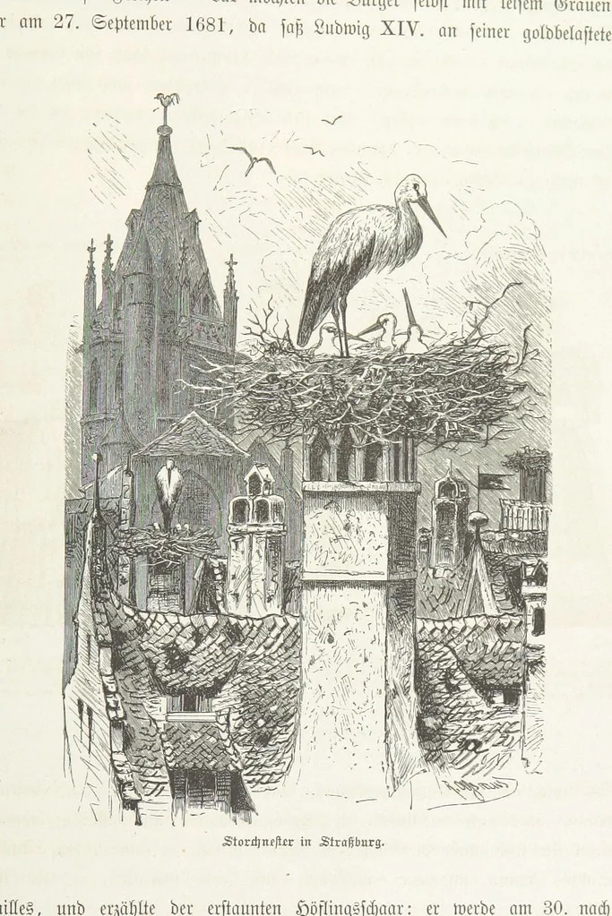 An illustration from Bilder aus Elsass Lothringen. Original-Zeichnungen von R. Assmus ... Schilderungen von K. S, 1876, leaf 235