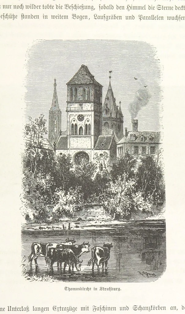 An illustration from Bilder aus Elsass Lothringen. Original-Zeichnungen von R. Assmus ... Schilderungen von K. S, 1876, leaf 245
