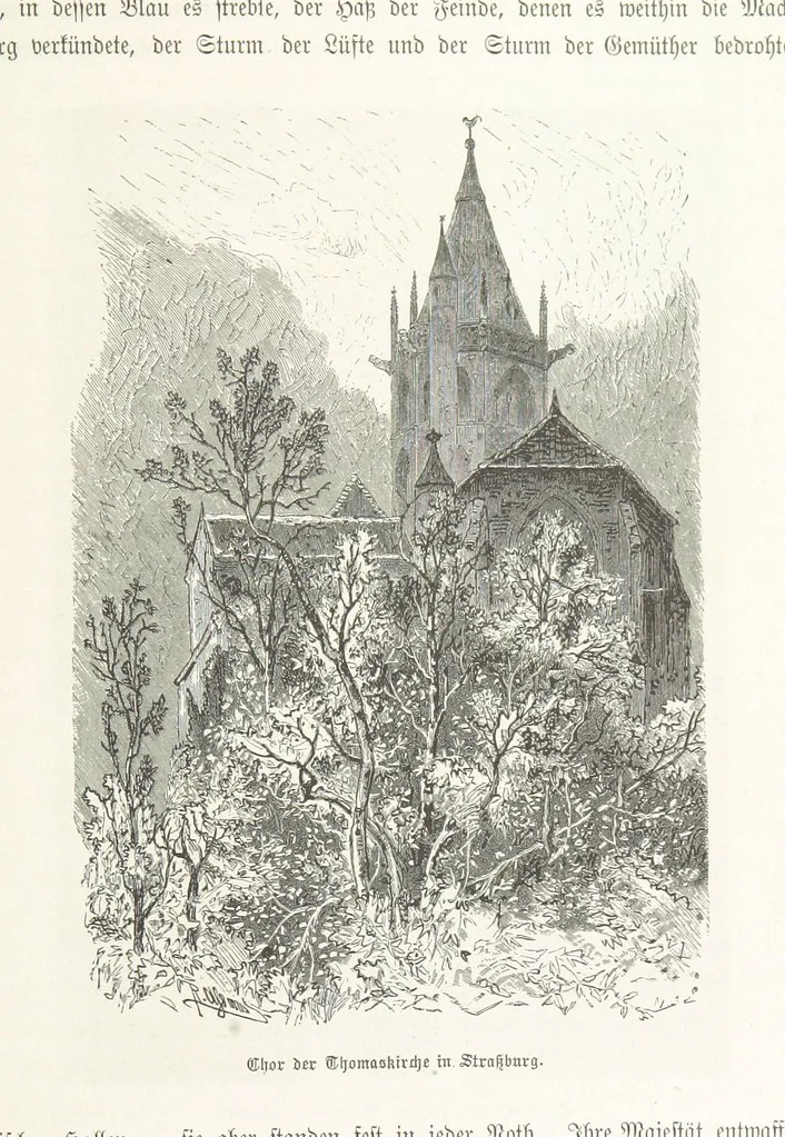 An illustration from Bilder aus Elsass Lothringen. Original-Zeichnungen von R. Assmus ... Schilderungen von K. S, 1876, leaf 255