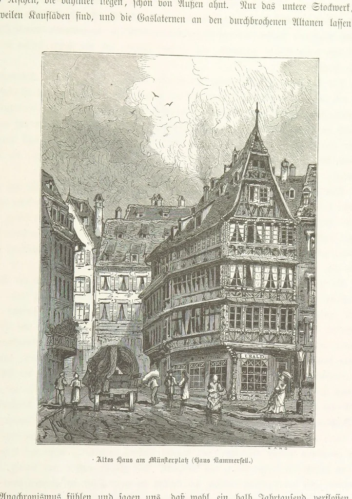 An illustration from Bilder aus Elsass Lothringen. Original-Zeichnungen von R. Assmus ... Schilderungen von K. S, 1876, leaf 269