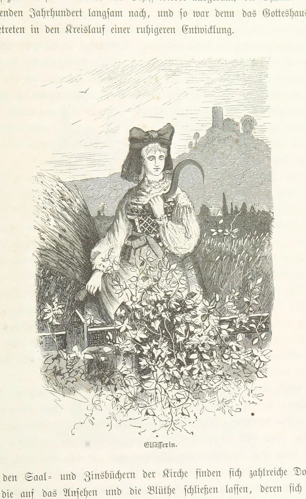 An illustration from Bilder aus Elsass Lothringen. Original-Zeichnungen von R. Assmus ... Schilderungen von K. S, 1876, leaf 277