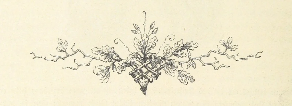 An illustration from Bilder aus Elsass Lothringen. Original-Zeichnungen von R. Assmus ... Schilderungen von K. S, 1876, leaf 28