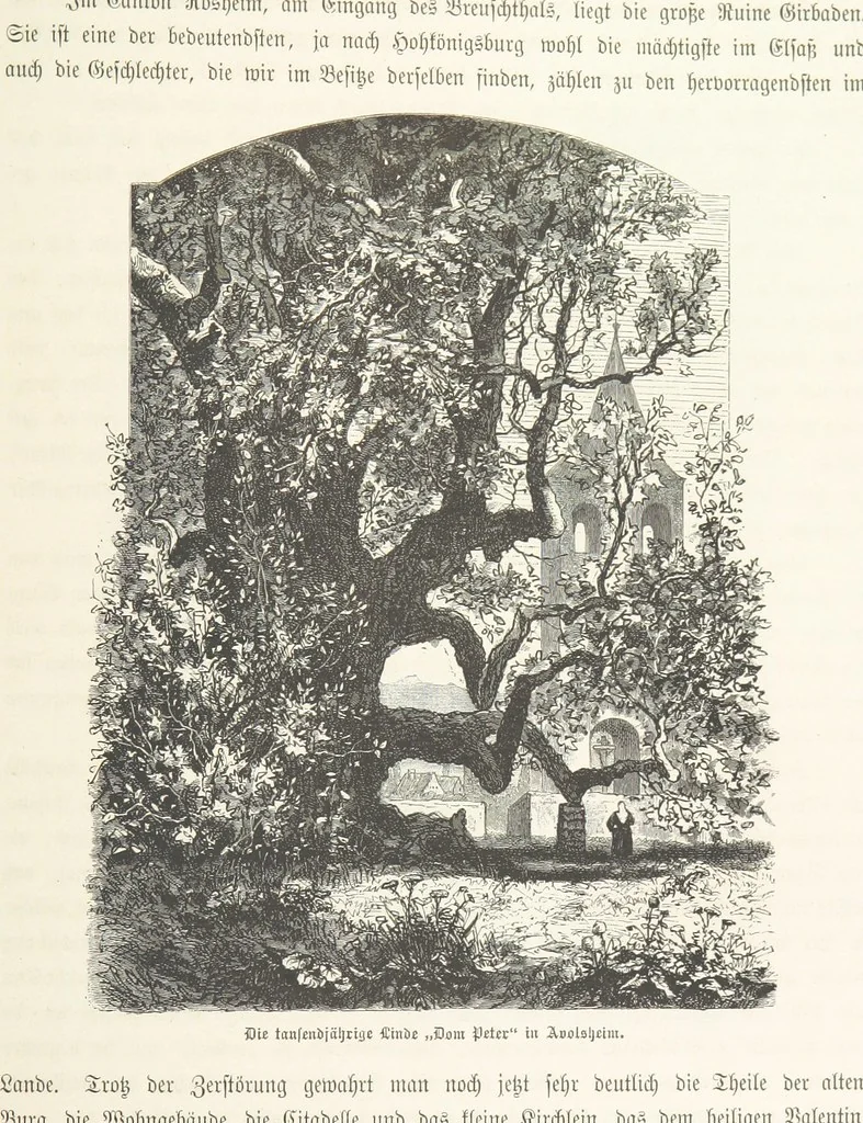An illustration from Bilder aus Elsass Lothringen. Original-Zeichnungen von R. Assmus ... Schilderungen von K. S, 1876, leaf 295