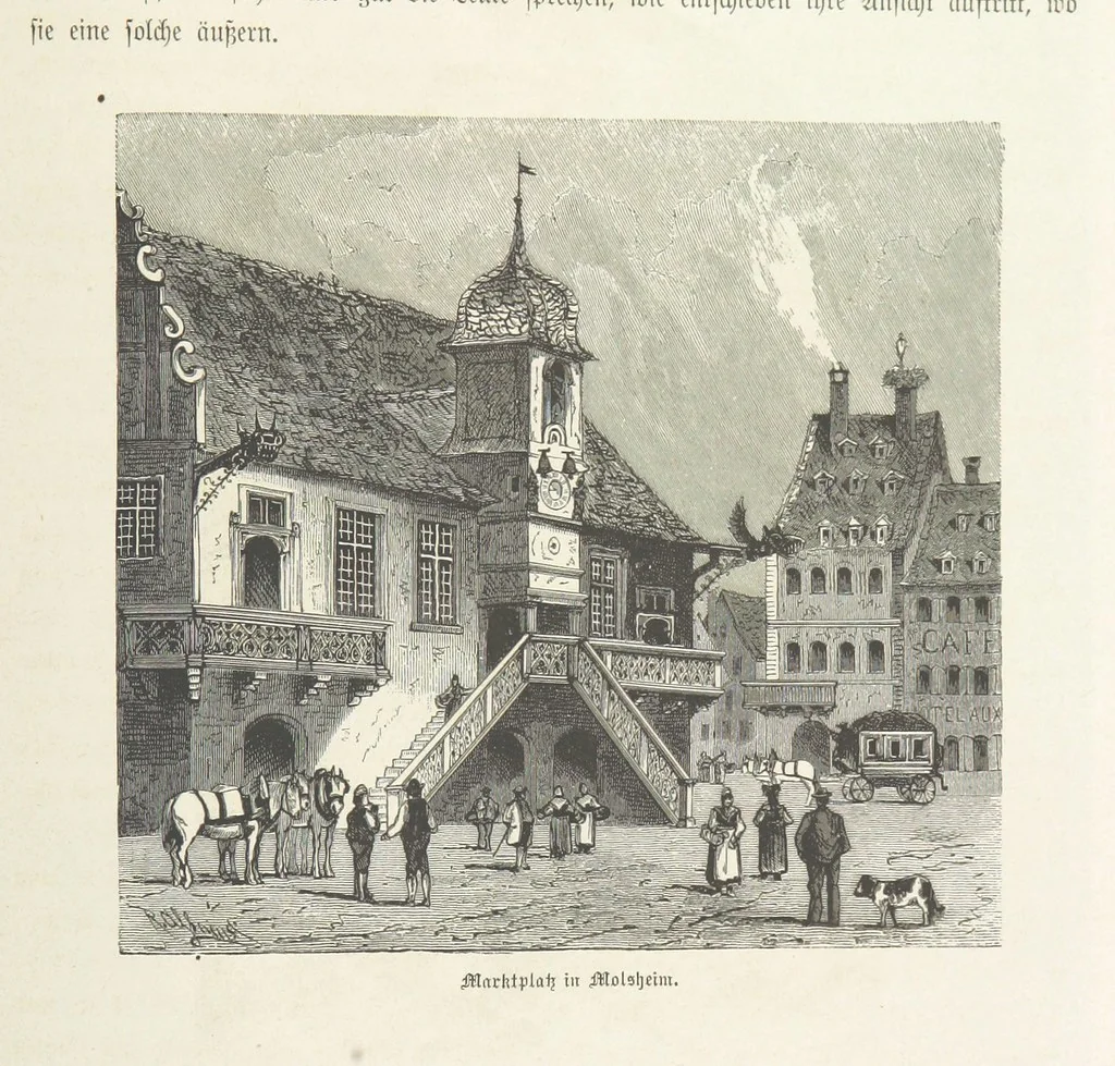 An illustration from Bilder aus Elsass Lothringen. Original-Zeichnungen von R. Assmus ... Schilderungen von K. S, 1876, leaf 301