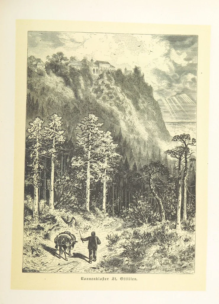 An illustration from Bilder aus Elsass Lothringen. Original-Zeichnungen von R. Assmus ... Schilderungen von K. S, 1876, leaf 309