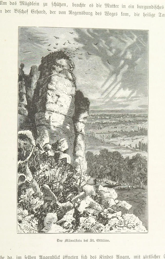 An illustration from Bilder aus Elsass Lothringen. Original-Zeichnungen von R. Assmus ... Schilderungen von K. S, 1876, leaf 311
