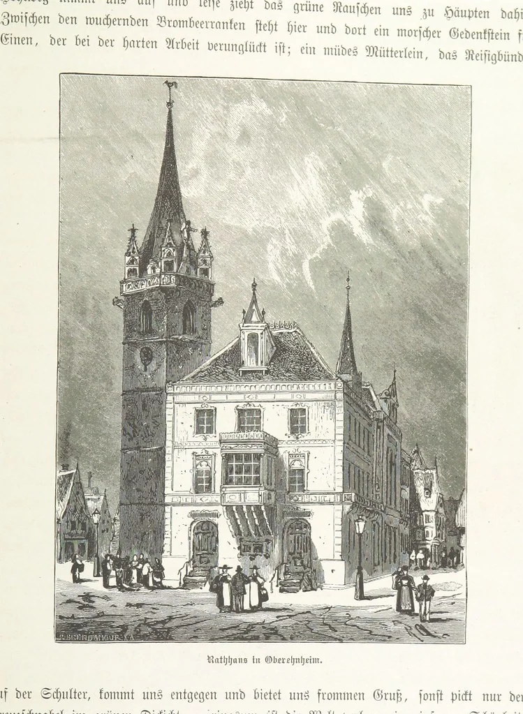 An illustration from Bilder aus Elsass Lothringen. Original-Zeichnungen von R. Assmus ... Schilderungen von K. S, 1876, leaf 315