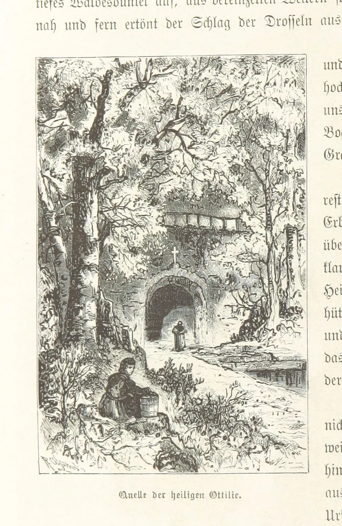 An illustration from Bilder aus Elsass Lothringen. Original-Zeichnungen von R. Assmus ... Schilderungen von K. S, 1876, leaf 316