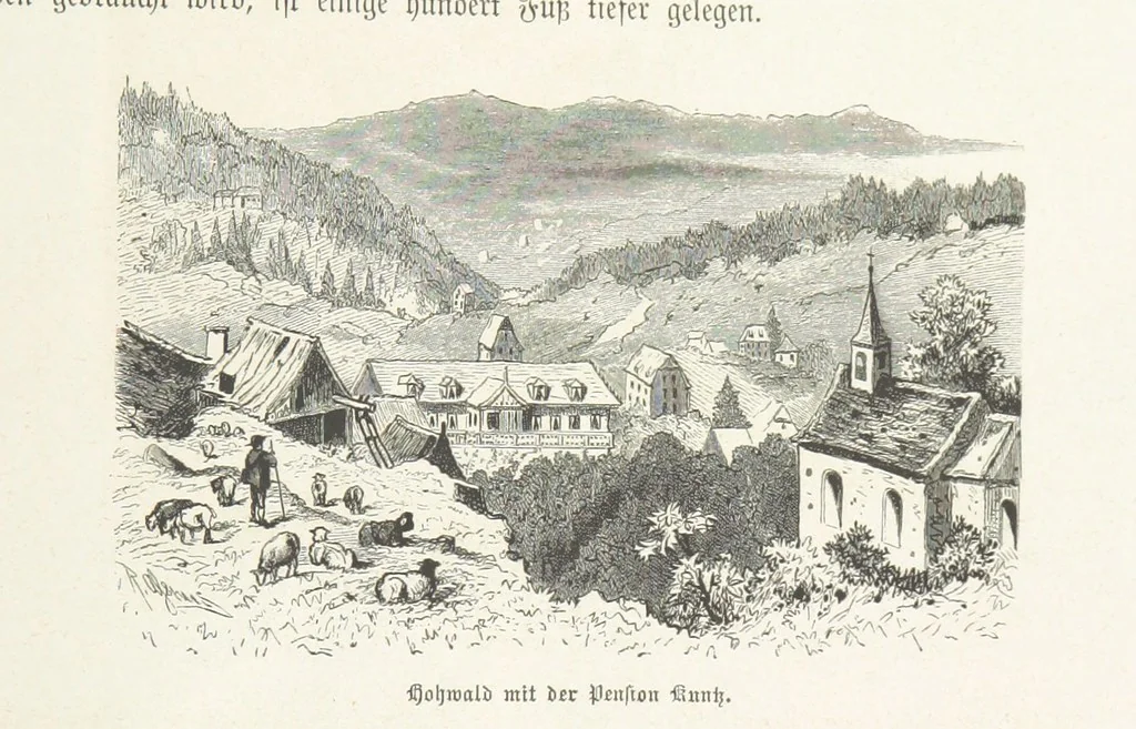 An illustration from Bilder aus Elsass Lothringen. Original-Zeichnungen von R. Assmus ... Schilderungen von K. S, 1876, leaf 323