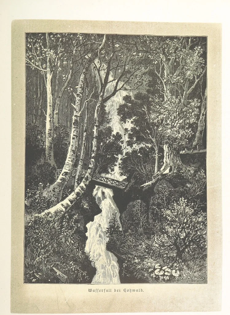 An illustration from Bilder aus Elsass Lothringen. Original-Zeichnungen von R. Assmus ... Schilderungen von K. S, 1876, leaf 325
