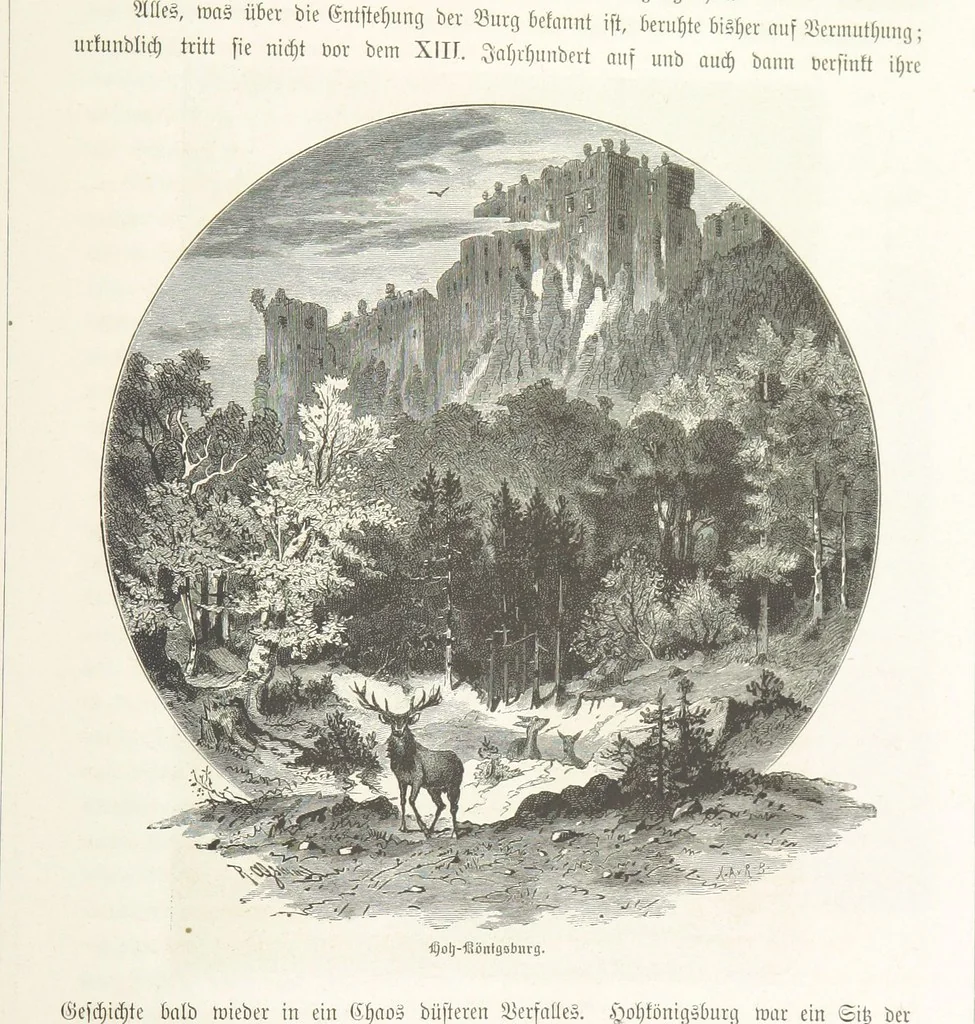 An illustration from Bilder aus Elsass Lothringen. Original-Zeichnungen von R. Assmus ... Schilderungen von K. S, 1876, leaf 335