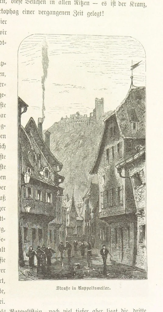 An illustration from Bilder aus Elsass Lothringen. Original-Zeichnungen von R. Assmus ... Schilderungen von K. S, 1876, leaf 337