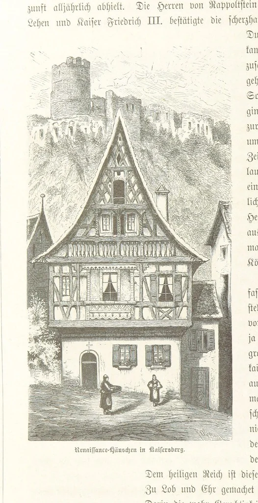 An illustration from Bilder aus Elsass Lothringen. Original-Zeichnungen von R. Assmus ... Schilderungen von K. S, 1876, leaf 338