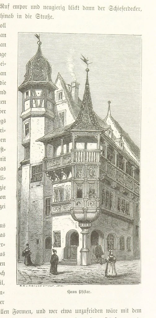 An illustration from Bilder aus Elsass Lothringen. Original-Zeichnungen von R. Assmus ... Schilderungen von K. S, 1876, leaf 343