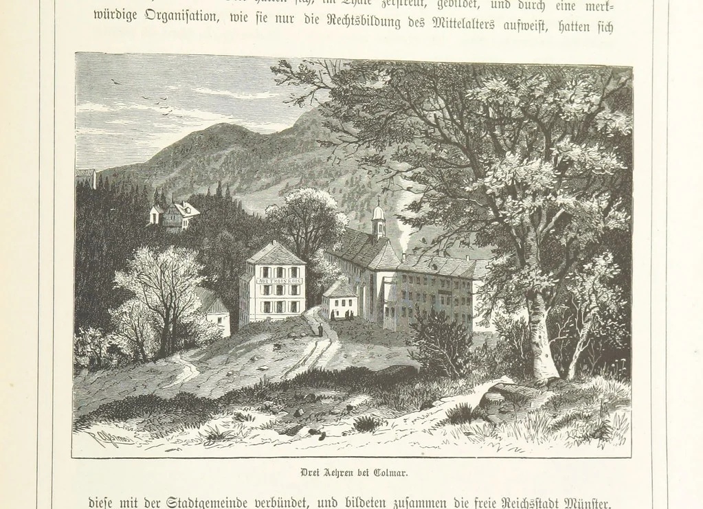 An illustration from Bilder aus Elsass Lothringen. Original-Zeichnungen von R. Assmus ... Schilderungen von K. S, 1876, leaf 355