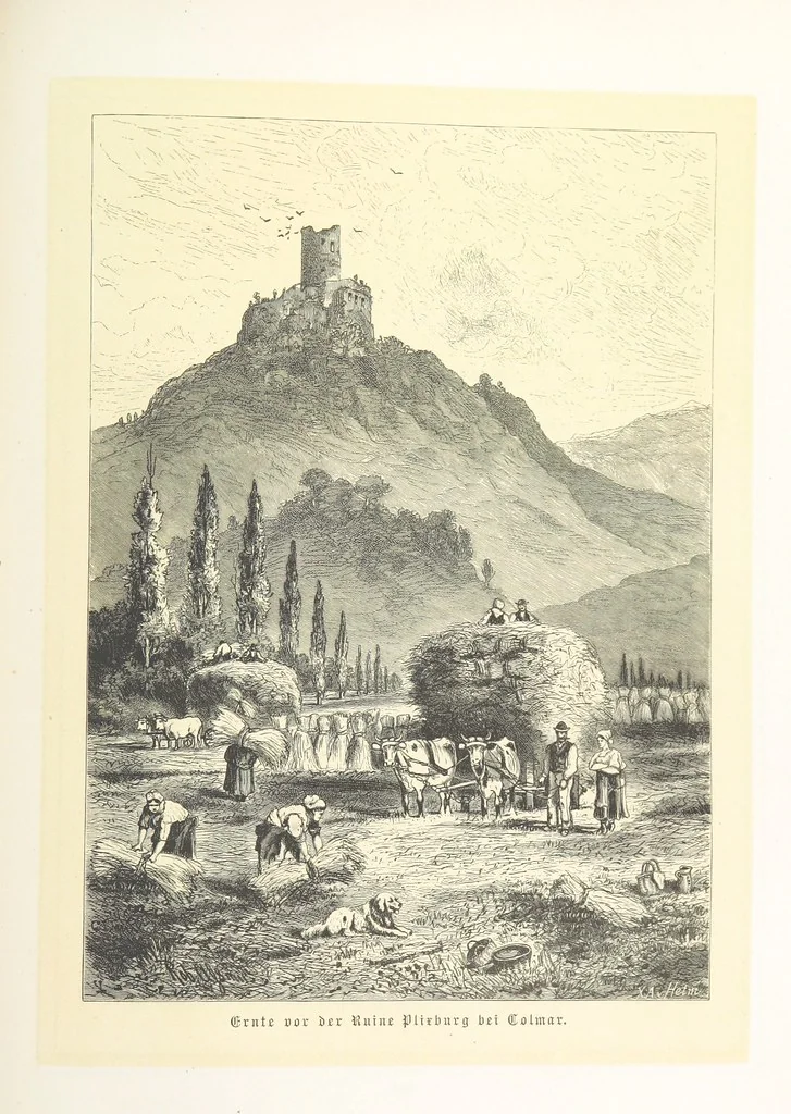 An illustration from Bilder aus Elsass Lothringen. Original-Zeichnungen von R. Assmus ... Schilderungen von K. S, 1876, leaf 357