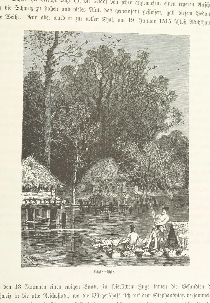 An illustration from Bilder aus Elsass Lothringen. Original-Zeichnungen von R. Assmus ... Schilderungen von K. S, 1876, leaf 361