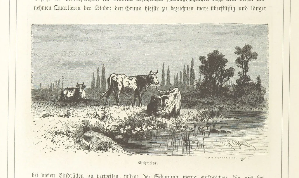 An illustration from Bilder aus Elsass Lothringen. Original-Zeichnungen von R. Assmus ... Schilderungen von K. S, 1876, leaf 370