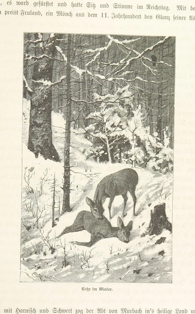 An illustration from Bilder aus Elsass Lothringen. Original-Zeichnungen von R. Assmus ... Schilderungen von K. S, 1876, leaf 375