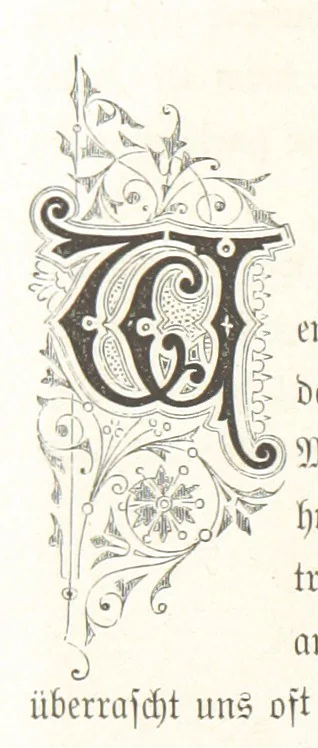 An illustration from Bilder aus Elsass Lothringen. Original-Zeichnungen von R. Assmus ... Schilderungen von K. S, 1876, leaf 46