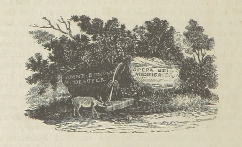 An illustration from Maid Marian, the Forest Queen, being a companion to “Robin Hood.”, 1849, leaf 258