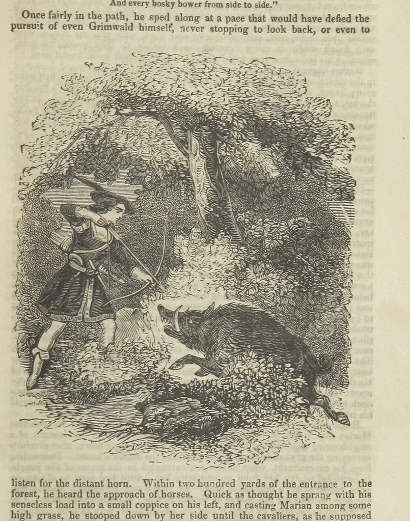 An illustration from Maid Marian, the Forest Queen, being a companion to “Robin Hood.”, 1849, leaf 51