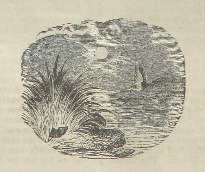 An illustration from Maid Marian, the Forest Queen, being a companion to “Robin Hood.”, 1849, leaf 60