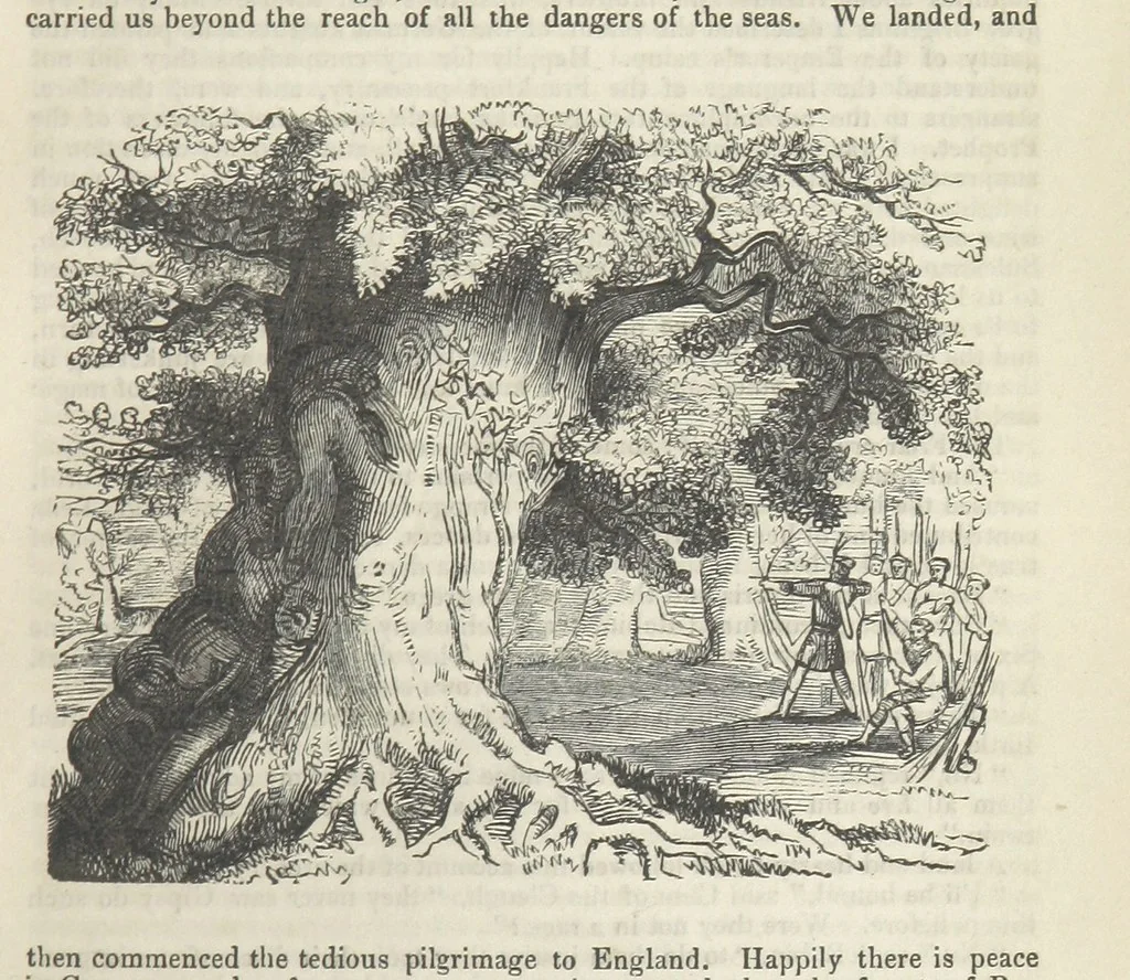 An illustration from Maid Marian, the Forest Queen, being a companion to “Robin Hood.”, 1849, leaf 91