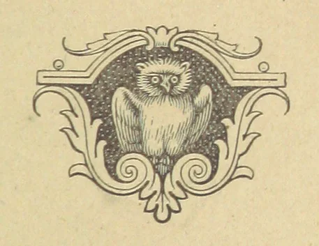 An illustration from Precious Stones and Gems, their history and distinguishing characteristics ... Illustrated, etc, 1877, leaf 35