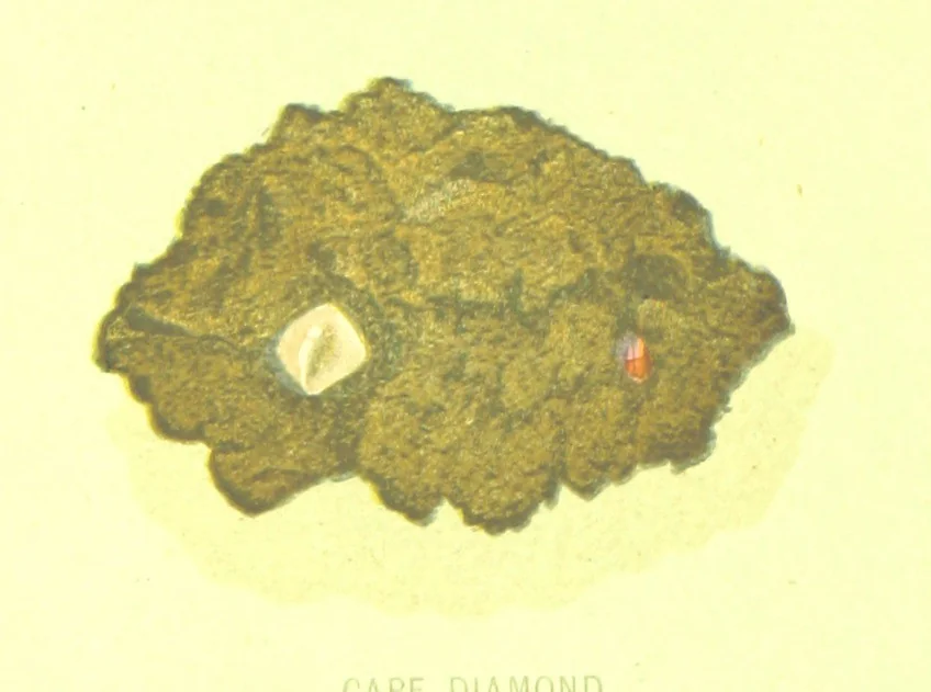 An illustration from Precious Stones and Gems ... Third edition, 1882, leaf 110