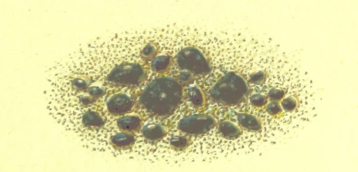 An illustration from Precious Stones and Gems ... Third edition, 1882, leaf 235