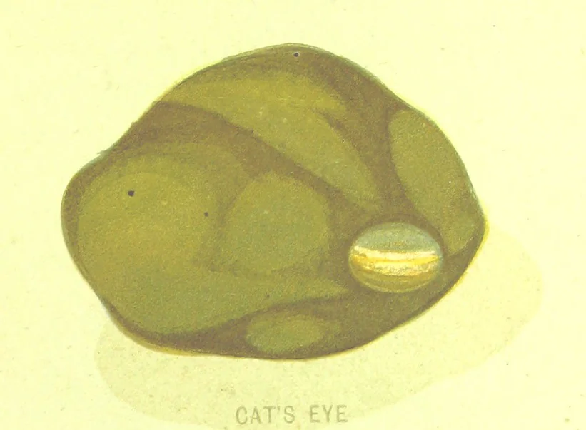 An illustration from Precious Stones and Gems ... Third edition, 1882, leaf 235
