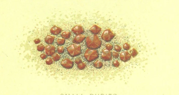An illustration from Precious Stones and Gems ... Third edition, 1882, leaf 235