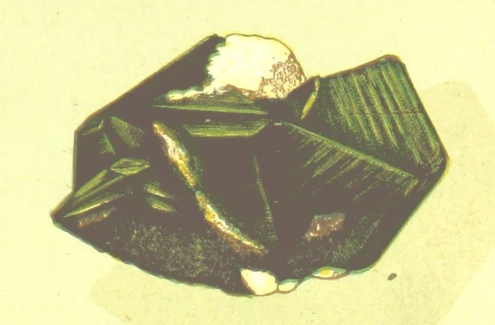 An illustration from Precious Stones and Gems ... Third edition, 1882, leaf 235