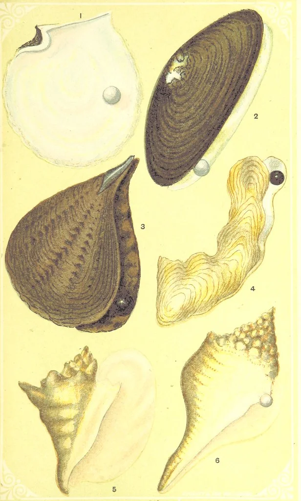 An illustration from Precious Stones and Gems ... Third edition, 1882, leaf 301