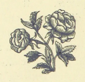 An illustration from Precious Stones and Gems ... Fifth edition, revised and largely rewritten, with chapters on the ruby mines of Burma, 1892, leaf 172
