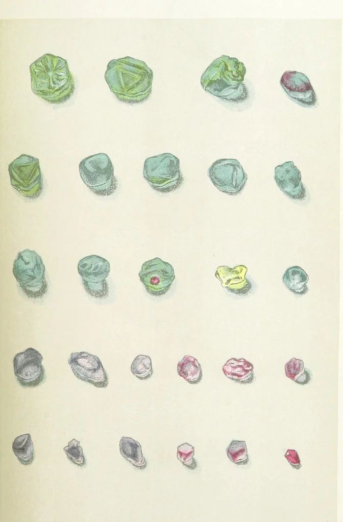 An illustration from Precious Stones and Gems ... Fifth edition, revised and largely rewritten, with chapters on the ruby mines of Burma, 1892, leaf 241