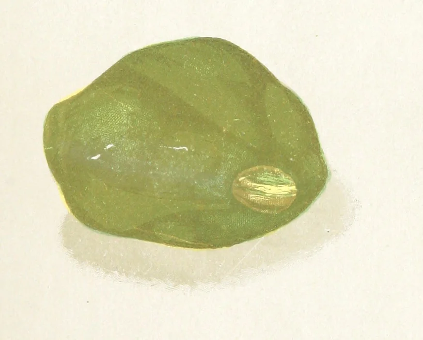 An illustration from Precious Stones and Gems ... Fifth edition, revised and largely rewritten, with chapters on the ruby mines of Burma, 1892, leaf 275