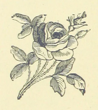 An illustration from Precious Stones and Gems ... Fifth edition, revised and largely rewritten, with chapters on the ruby mines of Burma, 1892, leaf 280