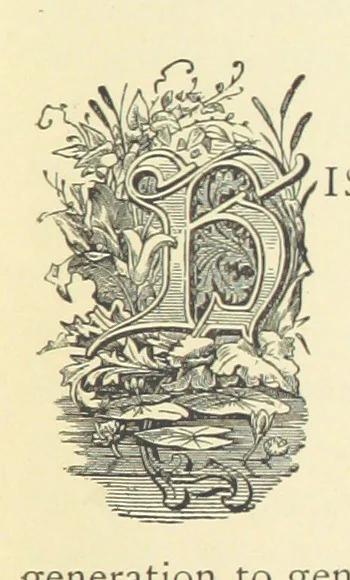 An illustration from Precious Stones and Gems ... Fifth edition, revised and largely rewritten, with chapters on the ruby mines of Burma, 1892, leaf 31