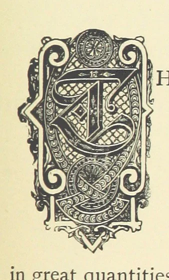 An illustration from Precious Stones and Gems ... Fifth edition, revised and largely rewritten, with chapters on the ruby mines of Burma, 1892, leaf 333