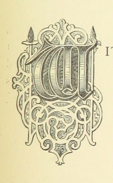 An illustration from Precious Stones and Gems ... Fifth edition, revised and largely rewritten, with chapters on the ruby mines of Burma, 1892, leaf 335