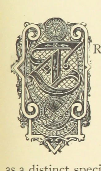 An illustration from Precious Stones and Gems ... Fifth edition, revised and largely rewritten, with chapters on the ruby mines of Burma, 1892, leaf 349