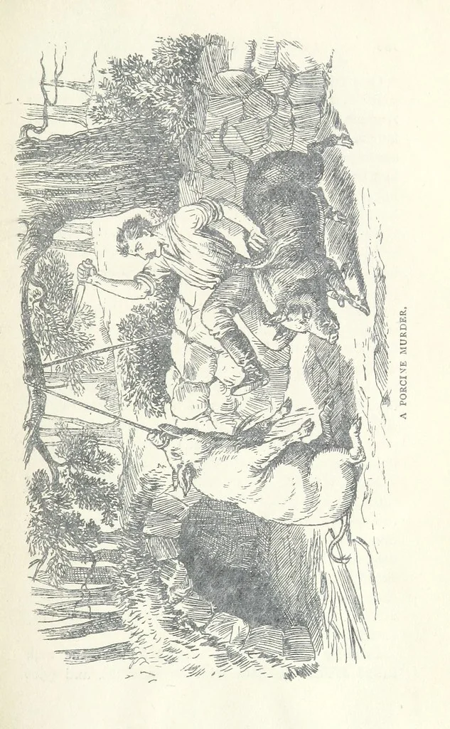 An illustration from Jethou; or, Crusoe life in the Channel Isles, 1892, leaf 113