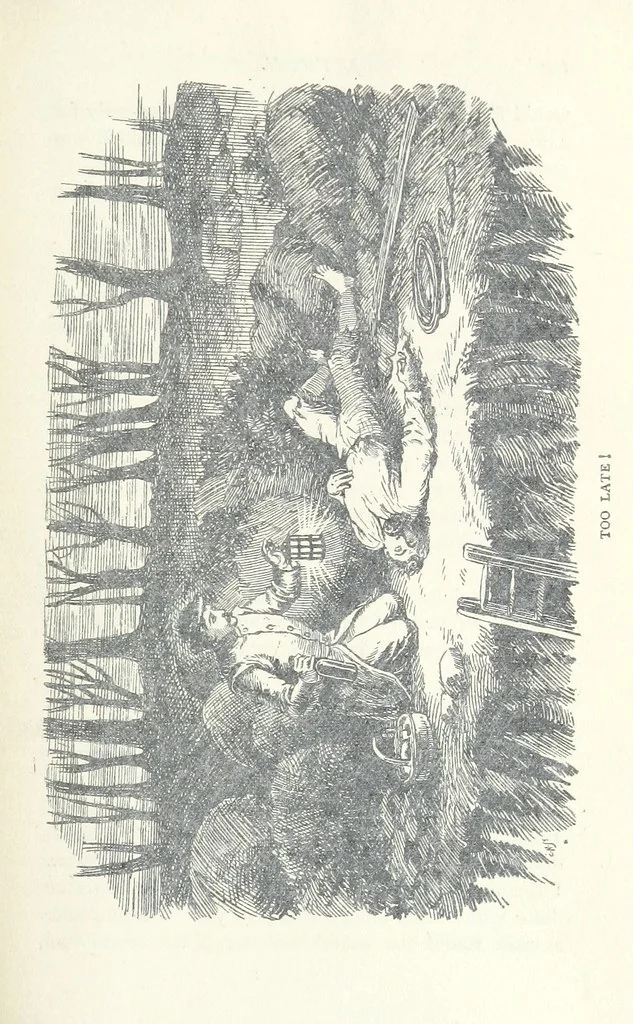 An illustration from Jethou; or, Crusoe life in the Channel Isles, 1892, leaf 145